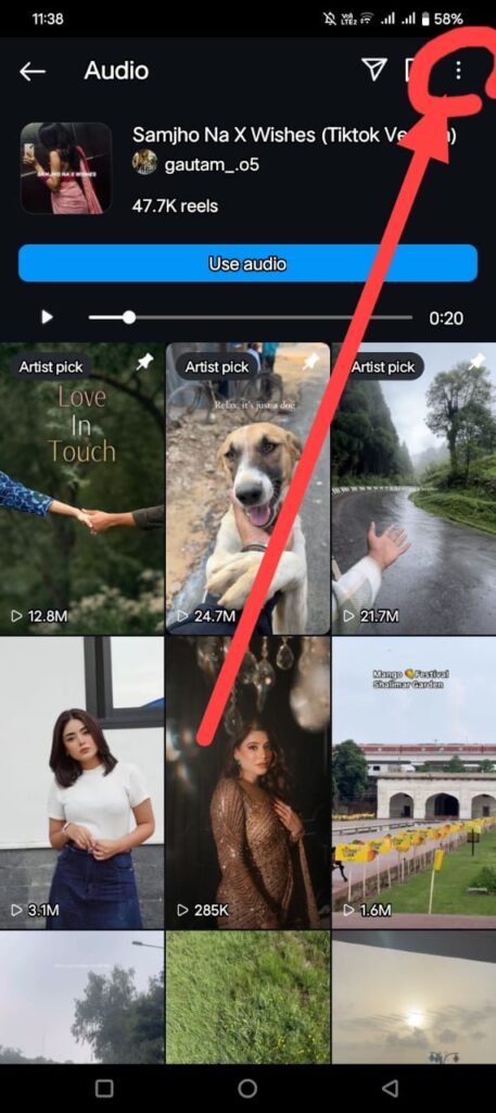 Instagram Reels Audio Downloader