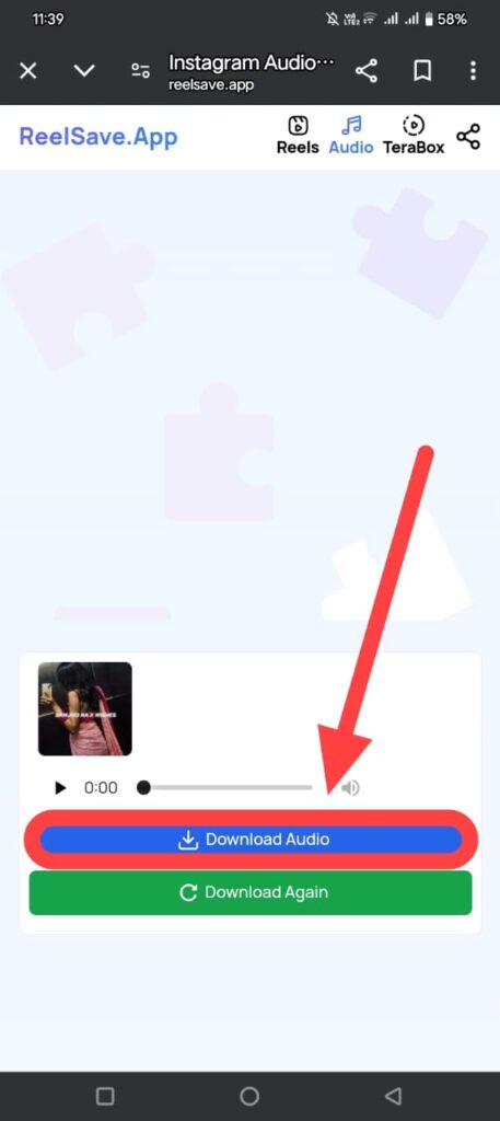 Instagram Reels Audio Downloader