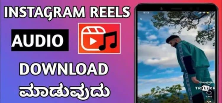 Instagram Reels Audio Downloader